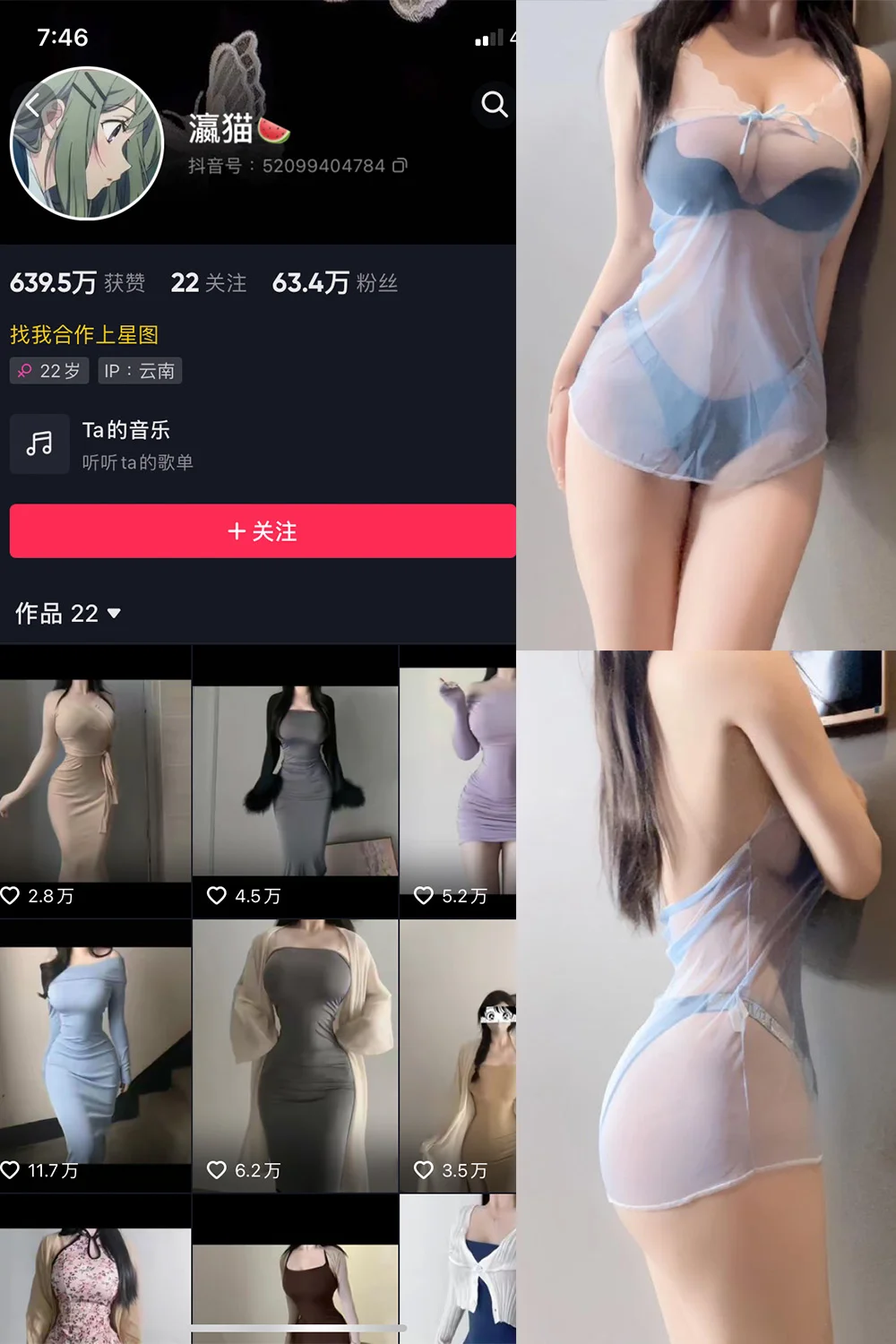 瀛猫写真图片(2)